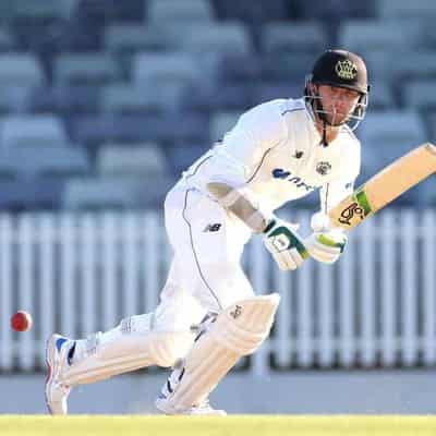 Whiteman, Connolly star as WA take opening-day honours