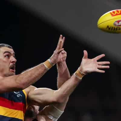 Adelaide doubts remain over Walker ahead of Cats clash