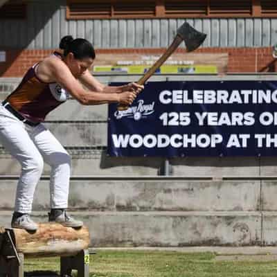 'Wimbledon of woodchopping' branches out for women