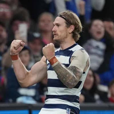 Geelong's milestone man Stewart an AFL lesson: Scott