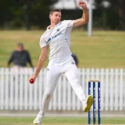 Wade, Tasmania wobble in Shield final