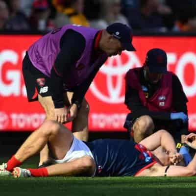 May hospitalised, Lever also hurt in Demons' AFL win