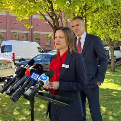 Labor elated, Greens pleased after SA by-election swing