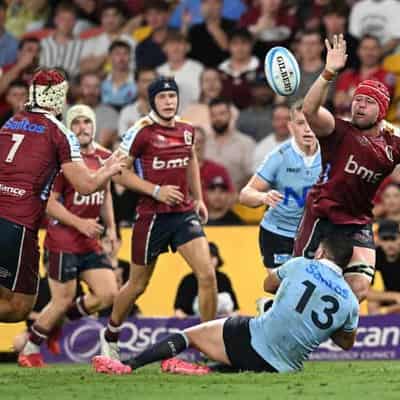 In-form Reds back-rowers eye Wallabies Test connection