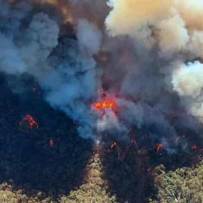 Bushfire that razed three homes flares up