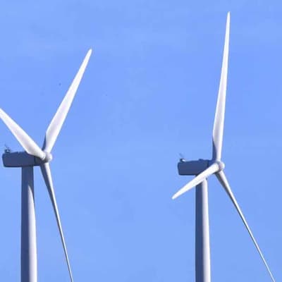 Hastings wind farm rejection avoidable, say parks group