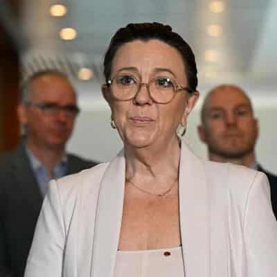 'Go it alone': Lambie's Senate colleague quits party