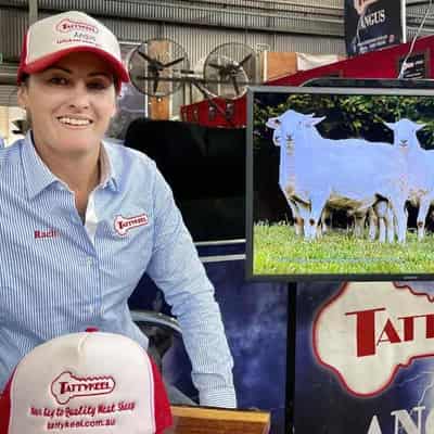 Women leading the herd in agriculture business