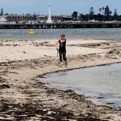 Swim warning at dozens of Victorian beaches after rain