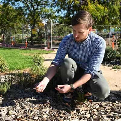 Dumped or contaminated: parks probe after asbestos find