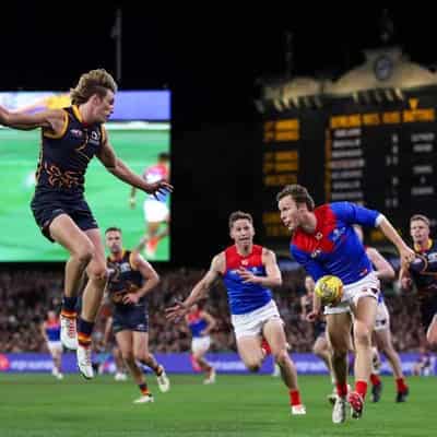 Pickett faces AFL scrutiny after Dees' win over Crows