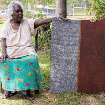 Tiwi artist still painting despite works lost in crash