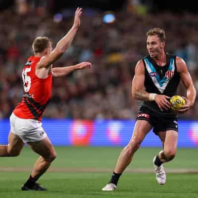 Finlayson facing AFL action for homophobic slur