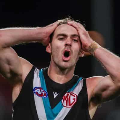 Finlayson apologises for homophobic slur in AFL game