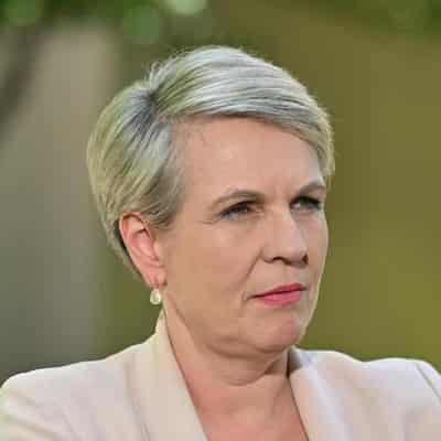 Plibersek rejects wetlands project in draft decision