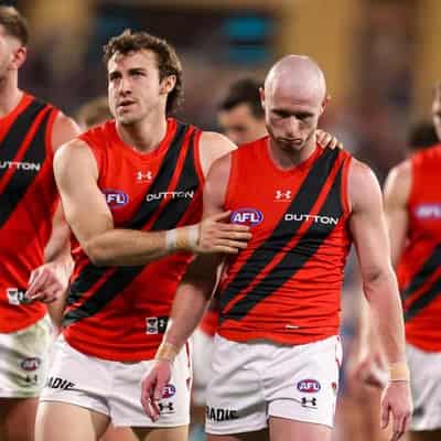 Execution, not effort, the issue at Essendon: Scott