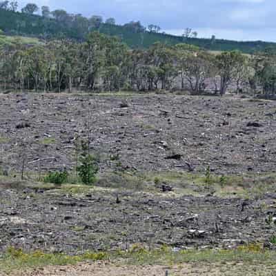 Australia forecast to become a carbon credit factory