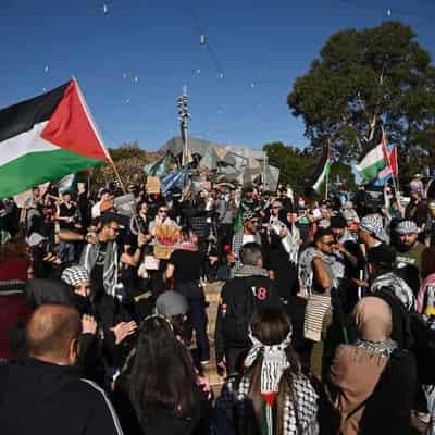 Gaza divisions hurt Australia's soft power: minister