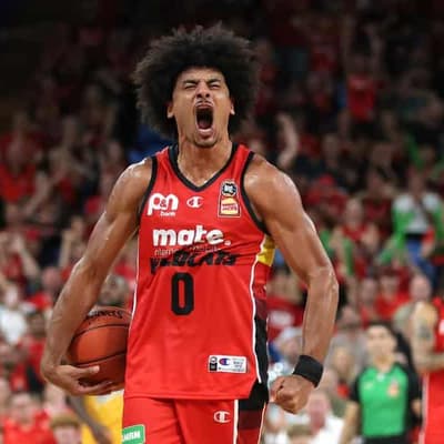 Mixed NBL fortunes for Webster brothers at Wildcats