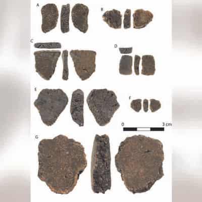 Feat of clay: oldest pottery sheds light on trade route