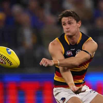 Crows' Crouch faces one-game ban for front-on conduct