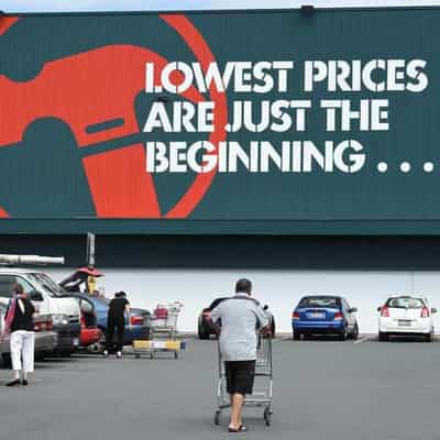 Bunnings baulks at firmer rules around plant suppliers