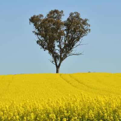 Climate change differences for farmers by state