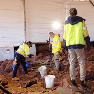 Devil tooth among significant finds at Juukan cave site