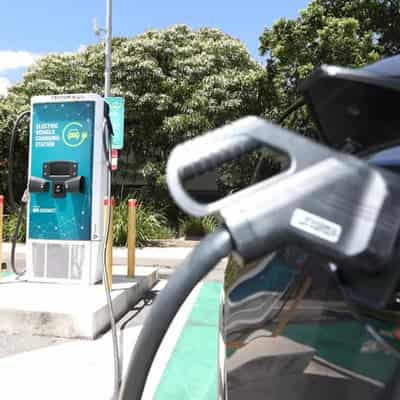 Hybrid vehicle sales speed up while petrol loses spark