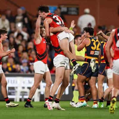 Essendon's Martin strikes late to sink Crows