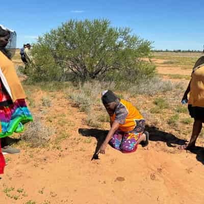 Rangers use new tech for tracking animals in the desert