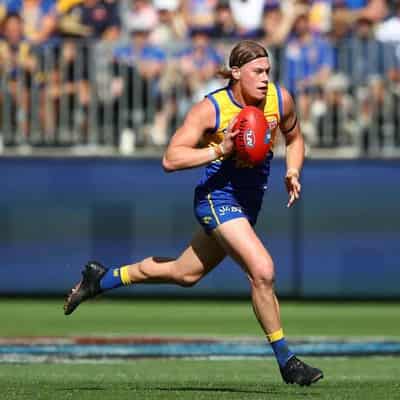 Eagles rest young gun Harley Reid for Suns clash