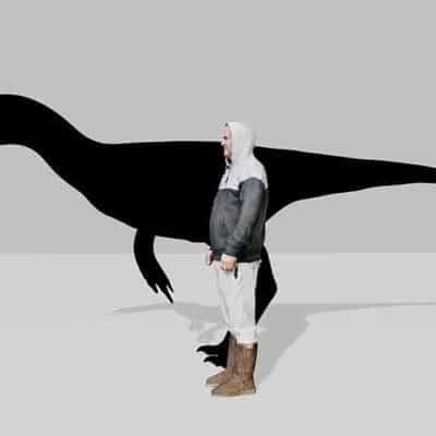 Raptor dinosaurs much bigger than previously thought