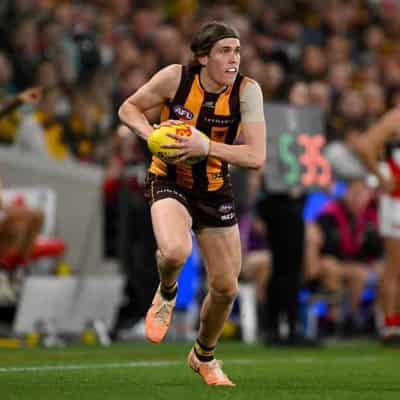 Will Day return won't solve all Hawks' issues: Mitchell