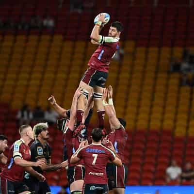 Reds set for challenge of Super Rugby big guns