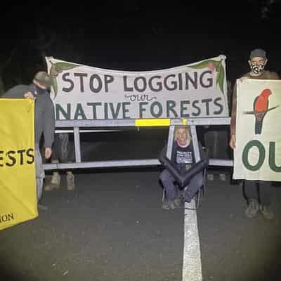 Forestry Corp compliance squad sets sights on protests