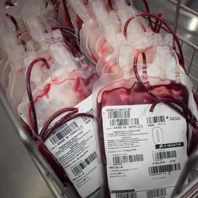 Shot of truth swiftly debunks blood ban claim