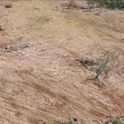 Less land clearing sees red meat emissions reduction