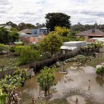 Racecourse wall plumbed new flood depths but won't go