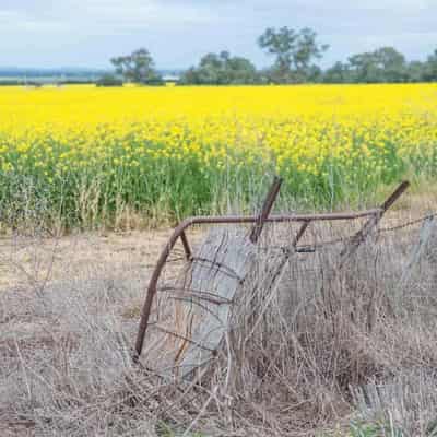 Unchecked urban sprawl is eating our food bowl