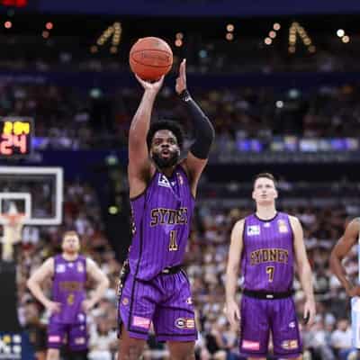 Walton back as Phoenix rise to NBL rebuilding challenge