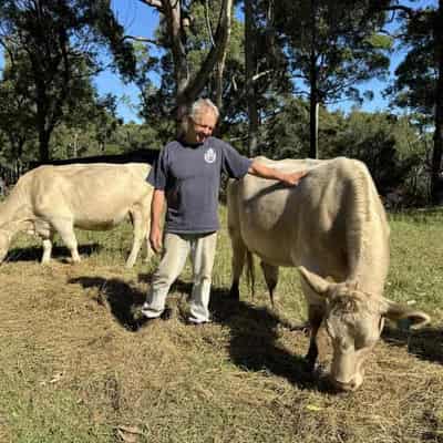 Hopes that tick research will lead to vaccine