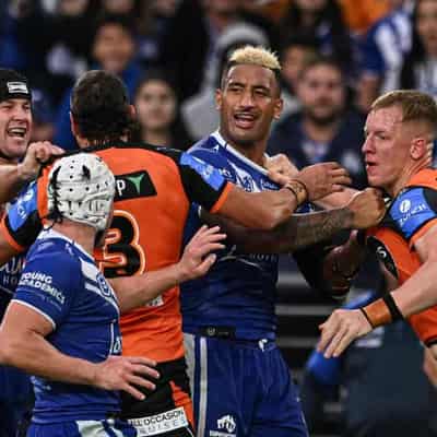 Tigers' discipline frustrates Benji in loss to Bulldogs