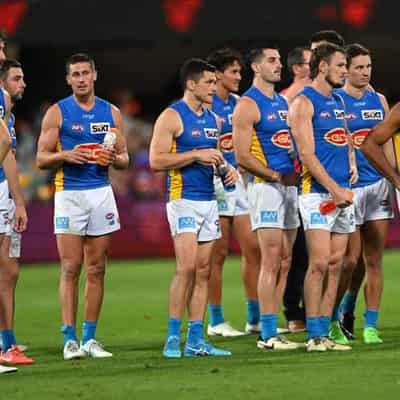 Lions' lesson proves Suns aren't 'big dogs' yet