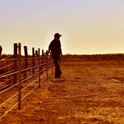 High steaks: PM launches drought fund at Beef Week