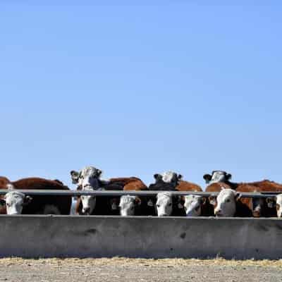 Australia has a beef with looming EU trade rules