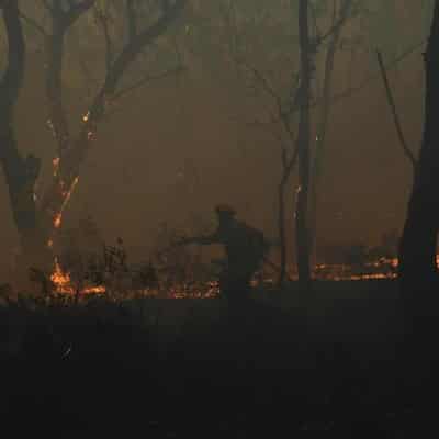 Powercor cops $2.1m fine after growth sparked bushfire