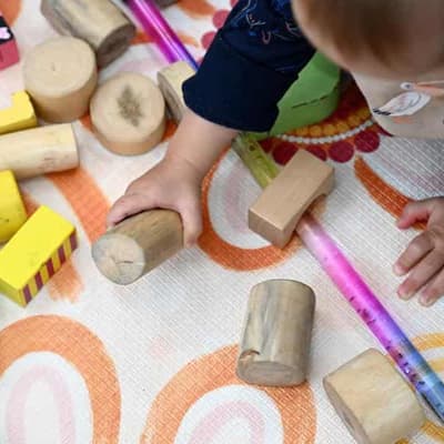 Regional cabinet could stop the bush singing for supper