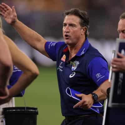 Beveridge not feeling pressure at under-fire Bulldogs