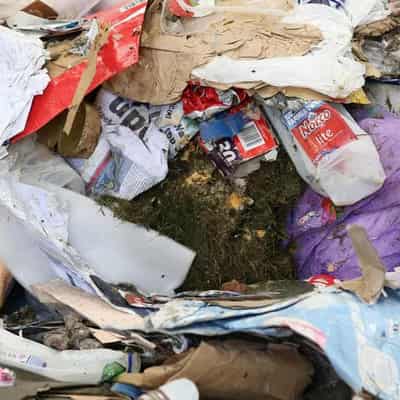 Government on nose after years of foul smell complaints